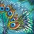 Peacock feather fantasy (3), 6"x6" each, acrylic on canvas, © Donna Grandin. $300. for triptych